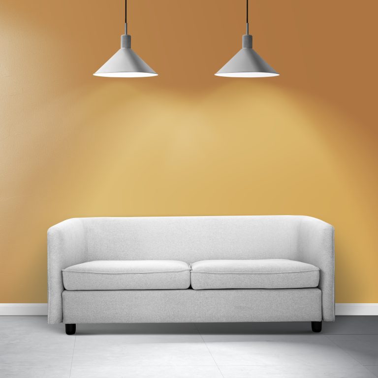 Contemporary living room interior design with a white sofa